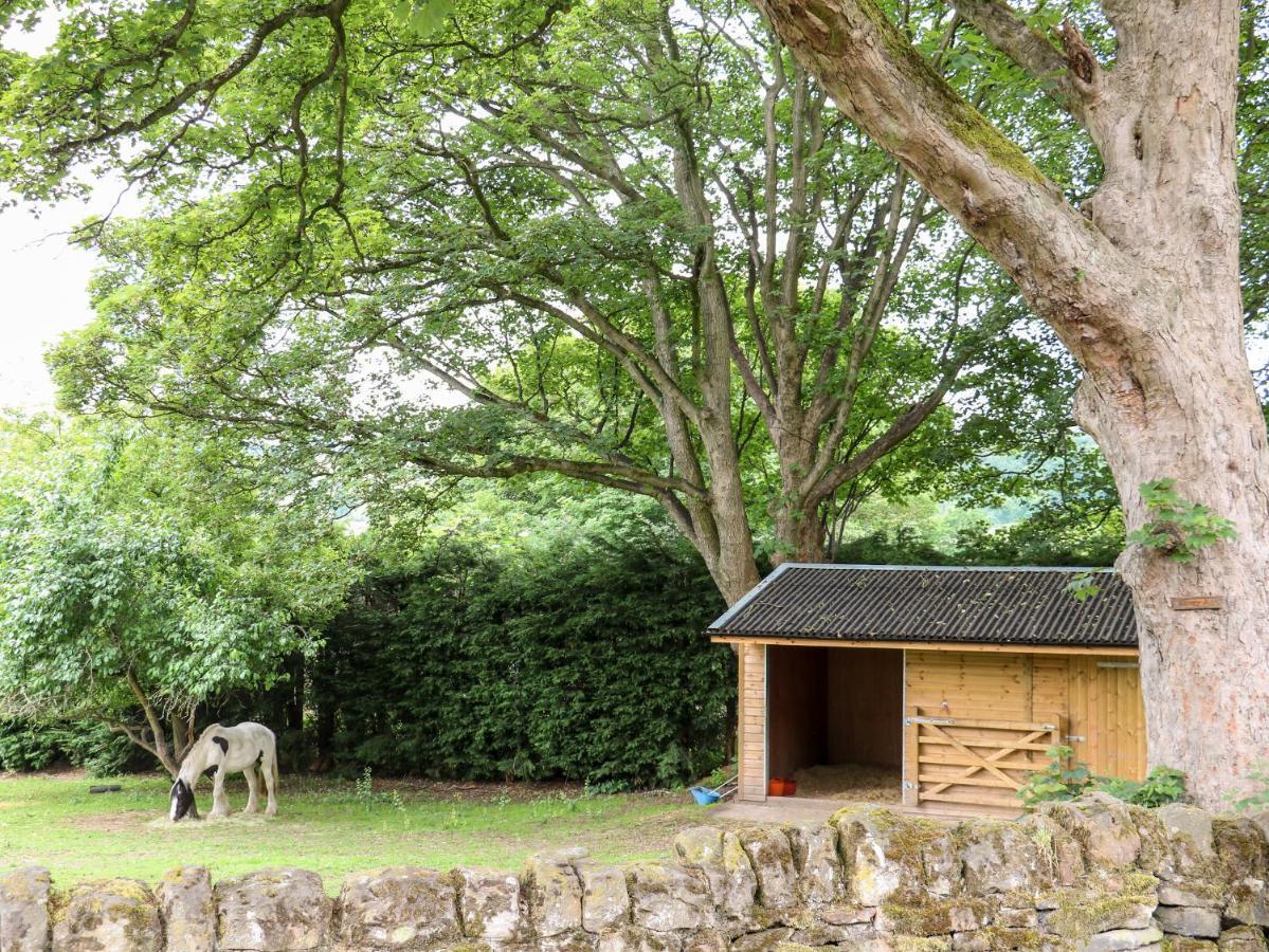 Bluebell Cottage アルフレトン エクステリア 写真